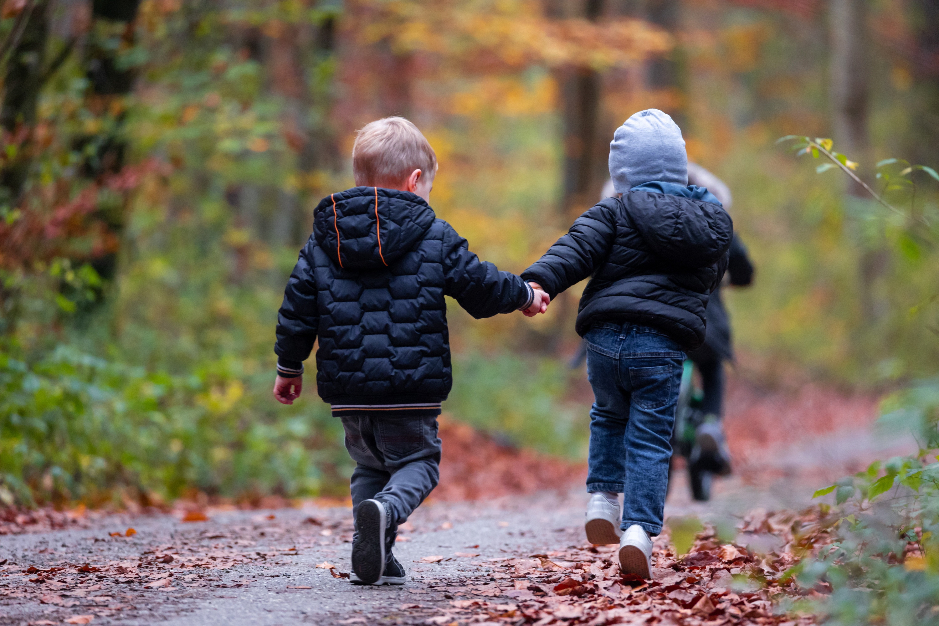 La suplementación en niños está en auge