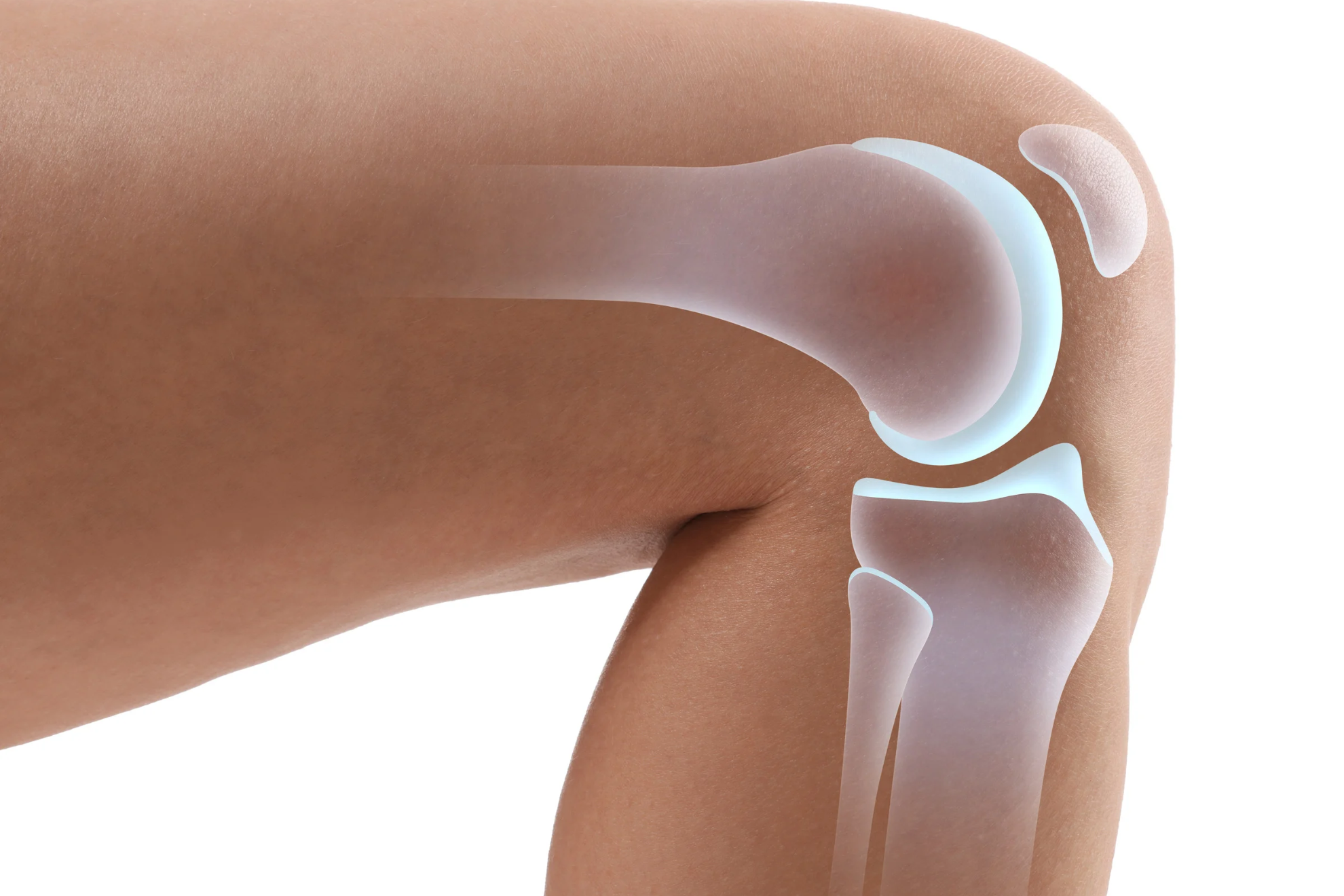 El cartílago es uno de los tejidos más difíciles de reparar del cuerpo humano