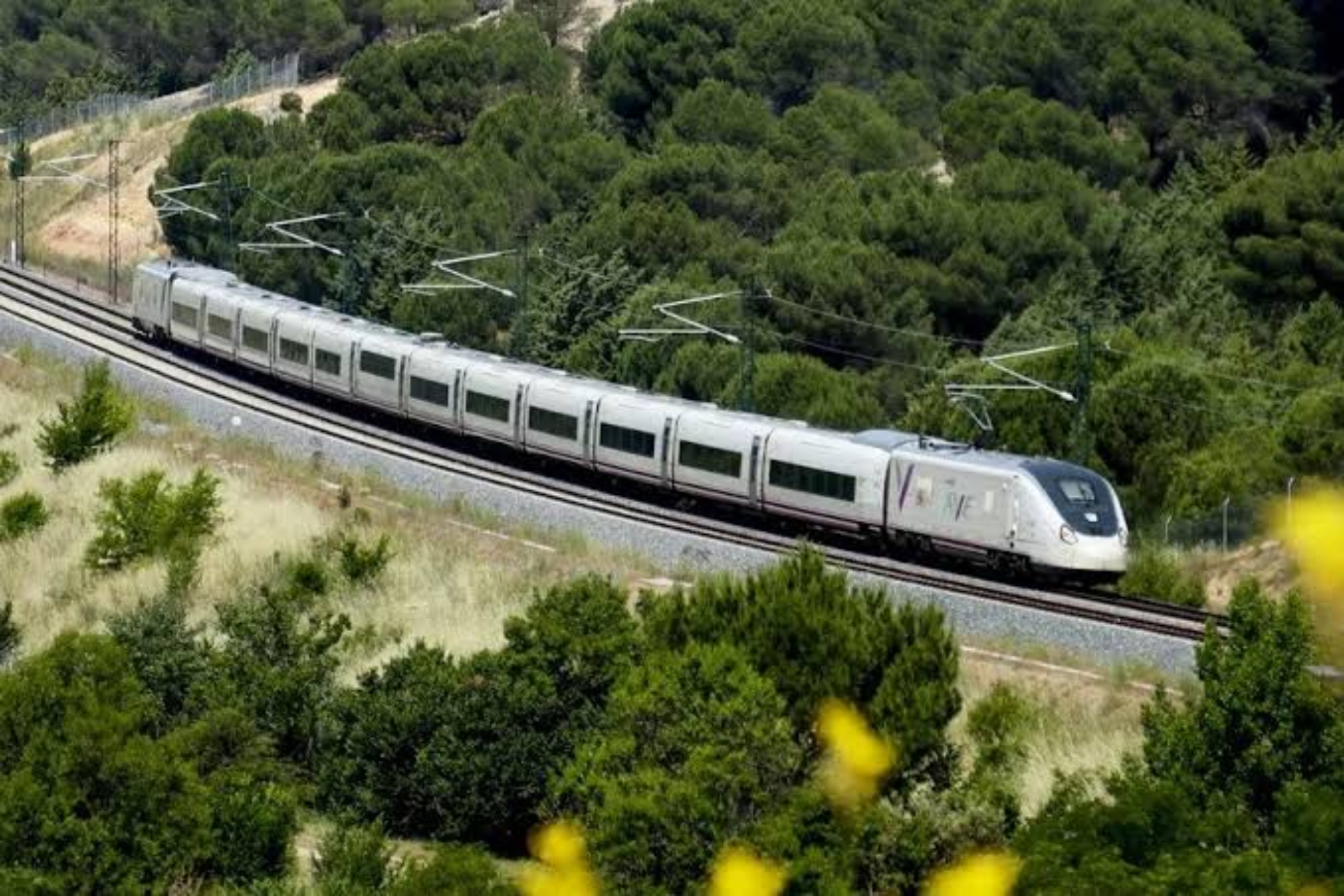 Tren Ave en transito EFE